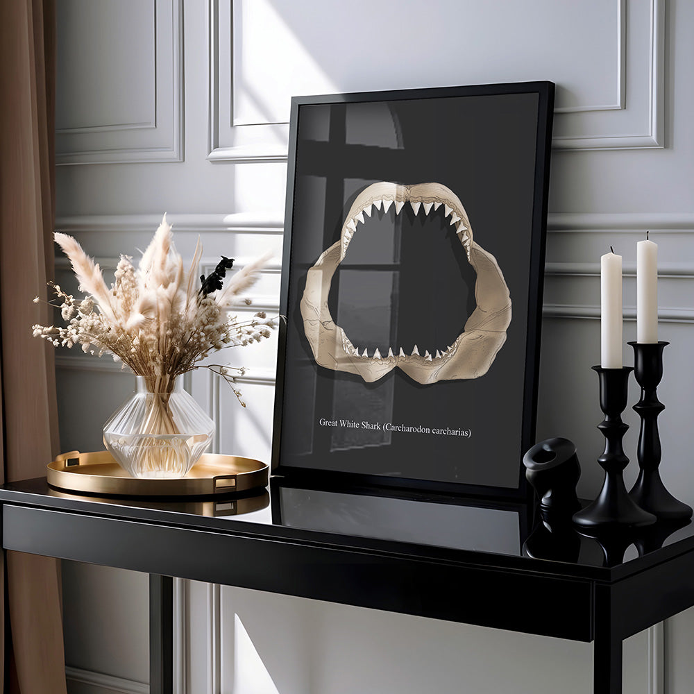 Great White Shark jaws - Luxury shark illustration, shark wall art/decor